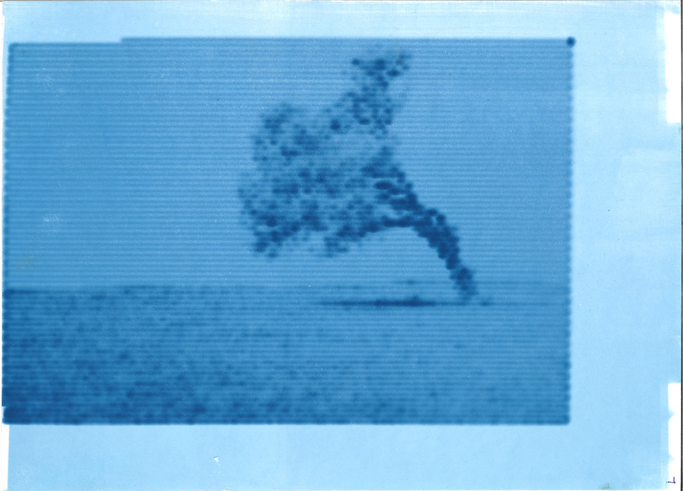 Cyanotype